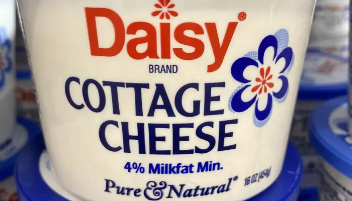 Cottage Cheese Substitute