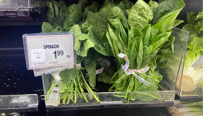 spinach substitute